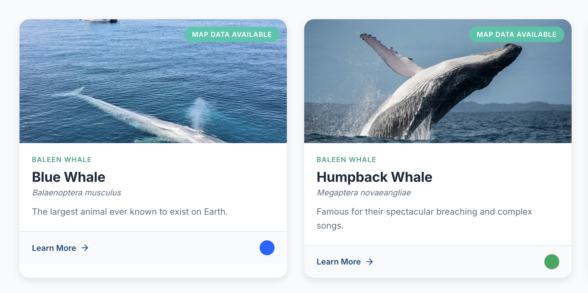 Species Guide Preview
