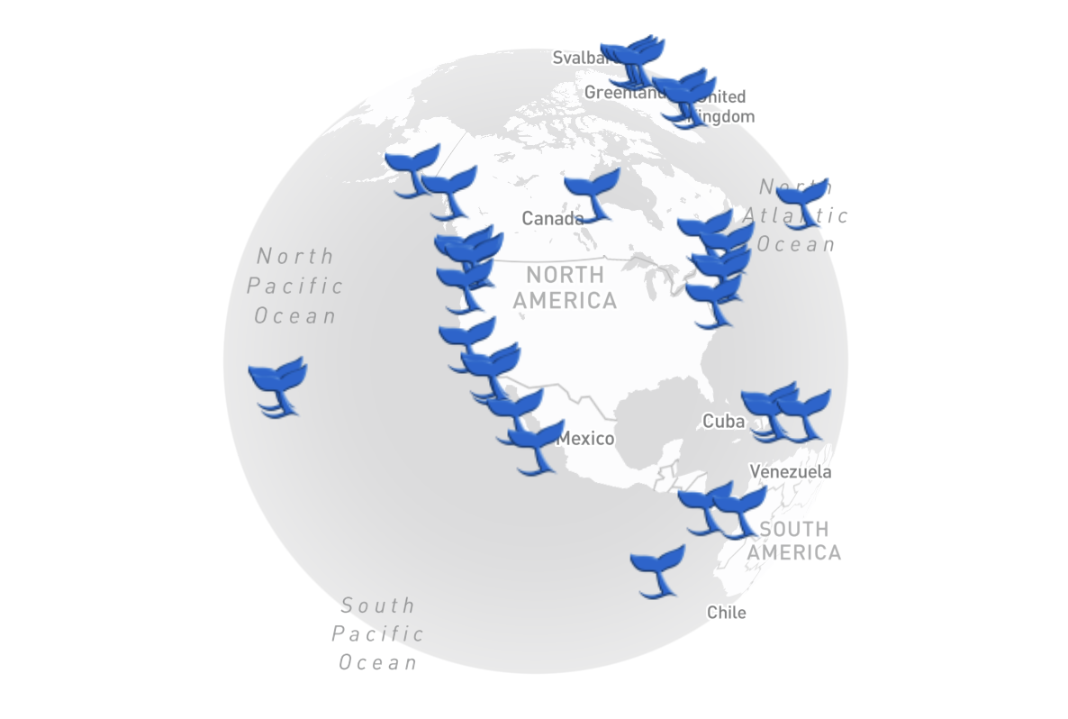 Watching Locations Preview